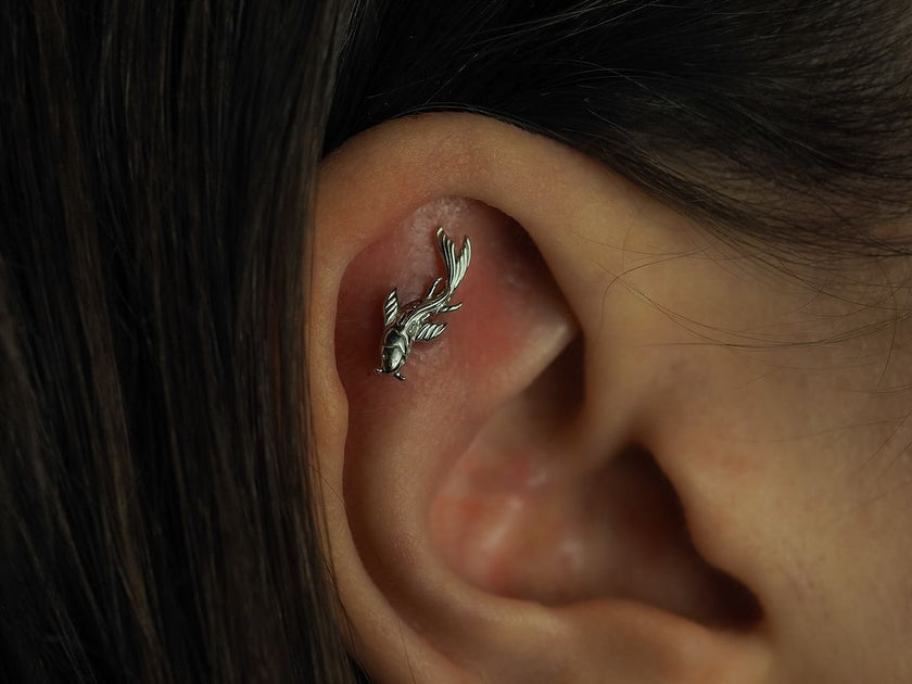 Koi earrings store