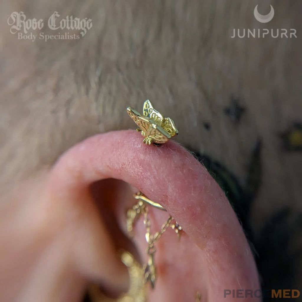 Helix Piercing Jewelry Pairings You'll Want to Copy Immediately