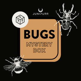 Bugs Mystery box $250 value