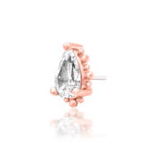 Ennvi