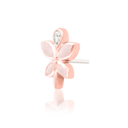 Fae