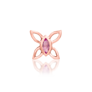 Navhvi