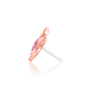 Navhvi