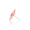 Navhvi