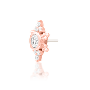 Praise