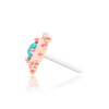 Suz