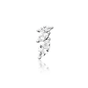 Enigma