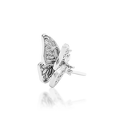 Madam Butterfly