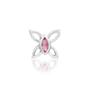Navhvi