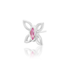 Navhvi