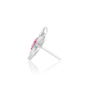 Navhvi