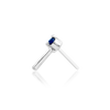 Vast