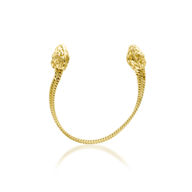 Fang