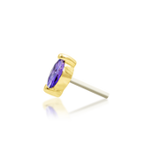 Marquise
