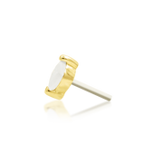 Marquise
