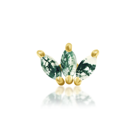 Moss Marquise Fan