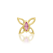 Navhvi