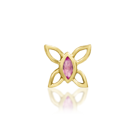 Navhvi