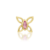 Navhvi