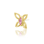 Navhvi