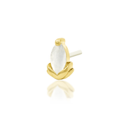 Uma
