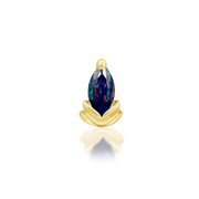 Uma