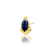 Uma