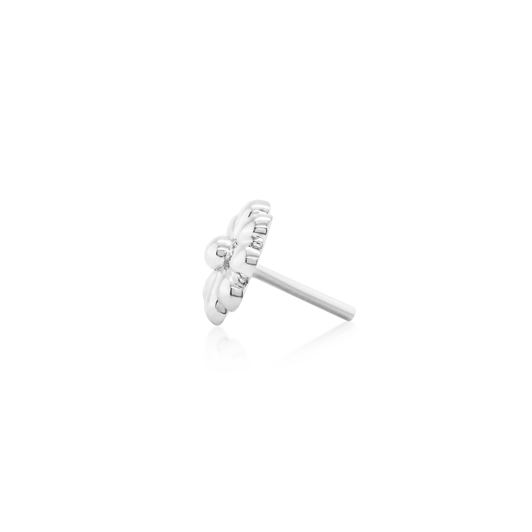 junipurr_14k-white-
