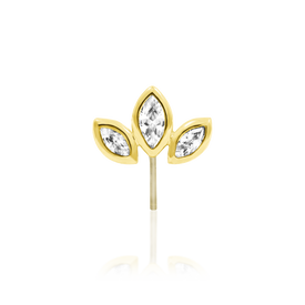 Gwyn