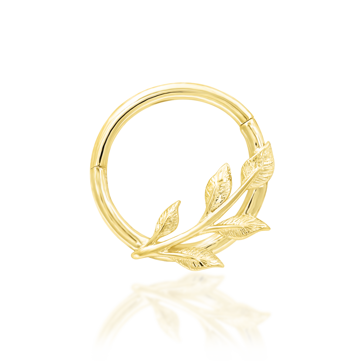 Terra
