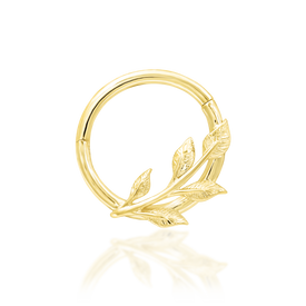 Terra